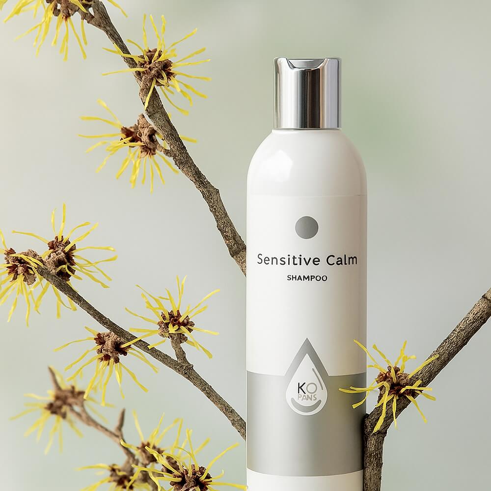 Was bewirkt Hamamelis in der Haarpflege?