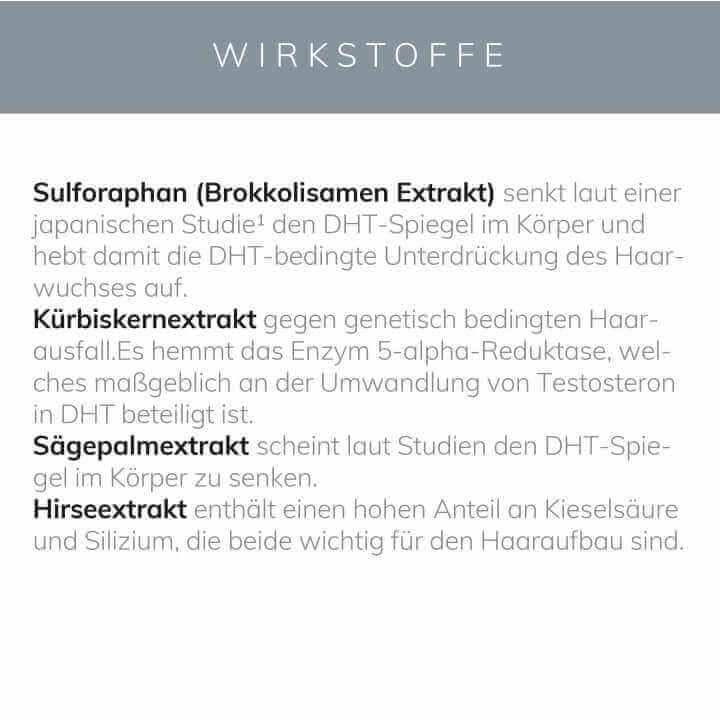 Efficacy ingredients of KÖ-HAIR capsules: Sulforaphan, pumpkin seed, saw palmetto, and millet extracts for hair health.