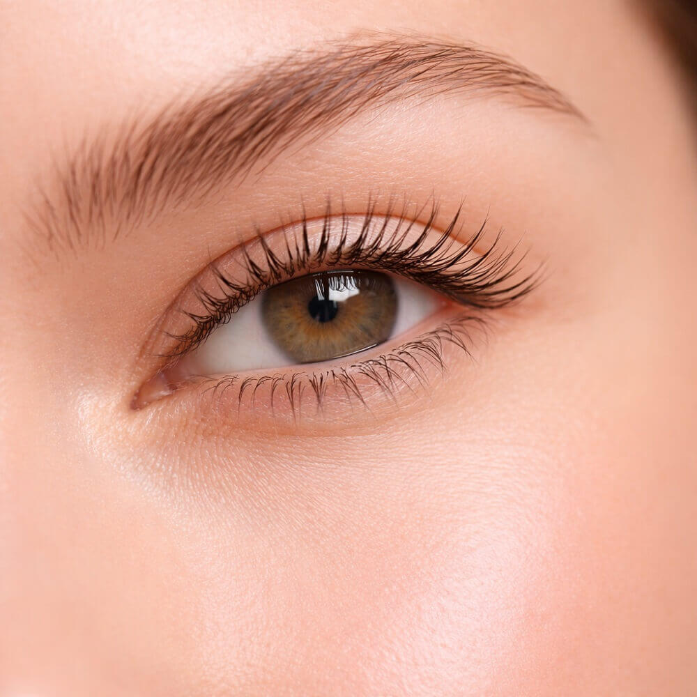 Natürliche, gepflegte Wimpern in Nahaufnahme bei weichem Tageslicht – ohne Extensions oder künstlichen Volumeneffekt.